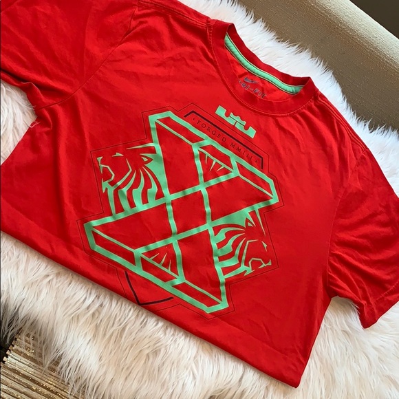 Nike Other - NIKE DriFit Lebron James Lion Shirt Small